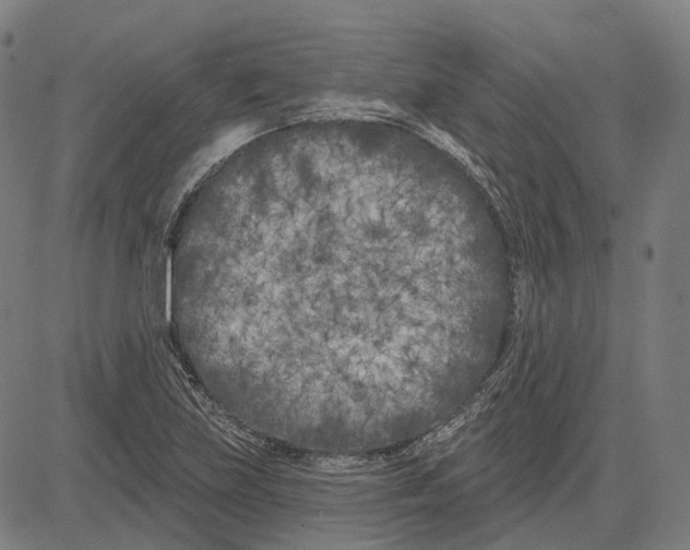 X0000081461219200702021759