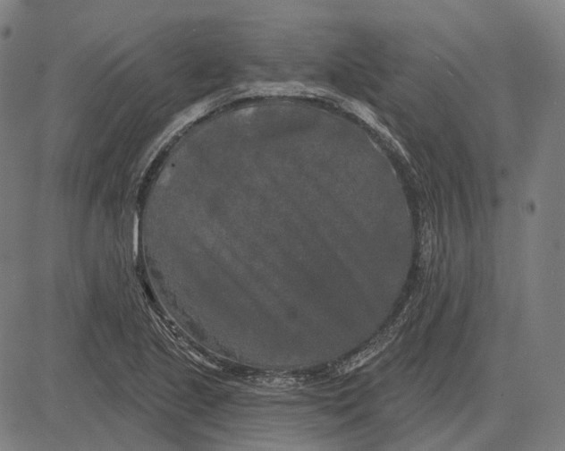 X0000081461221200702021759