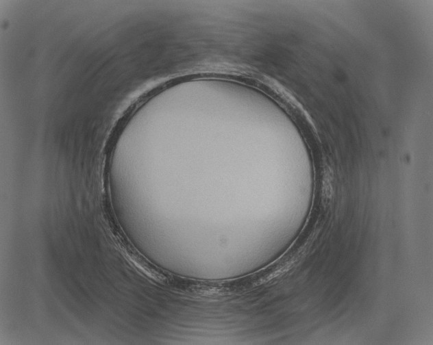 X0000081461222200702021759