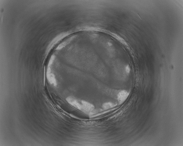 X0000081461223200702021759