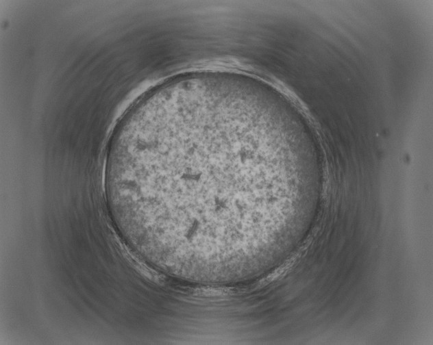 X0000081461224200702021759