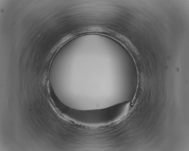 X0000081461225200702021759