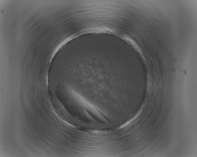 X0000081461226200702021759