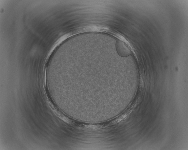 X0000081461227200702021759