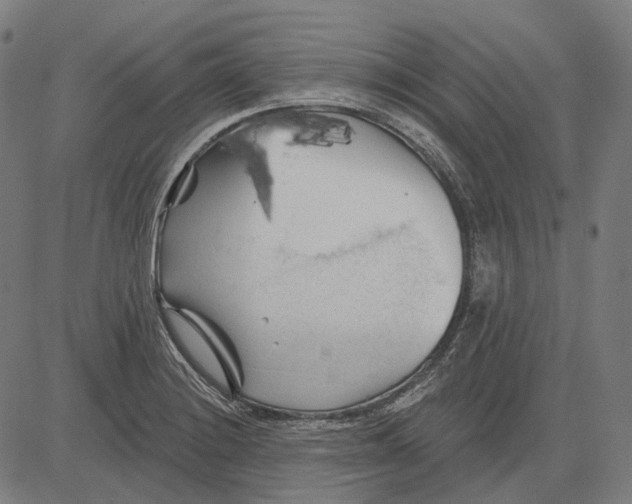 X0000081461228200702021759