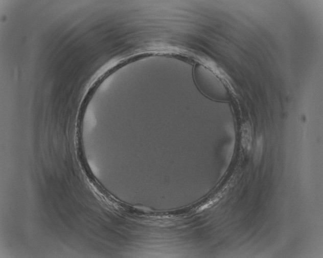 X0000081461229200702021759