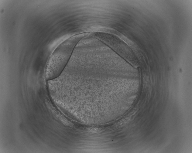 X0000081461230200702021759