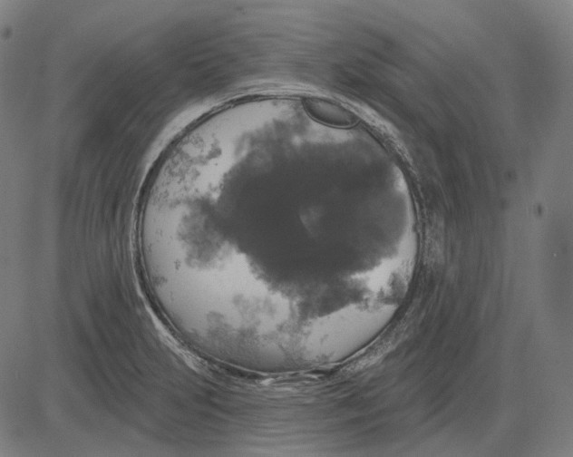 X0000081461231200702021759