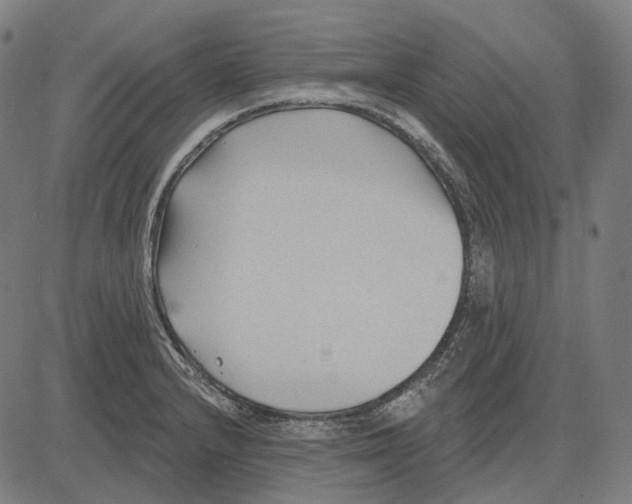 X0000081461232200702021759