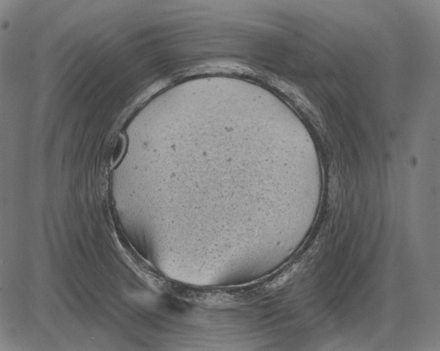 X0000081461233200702021759