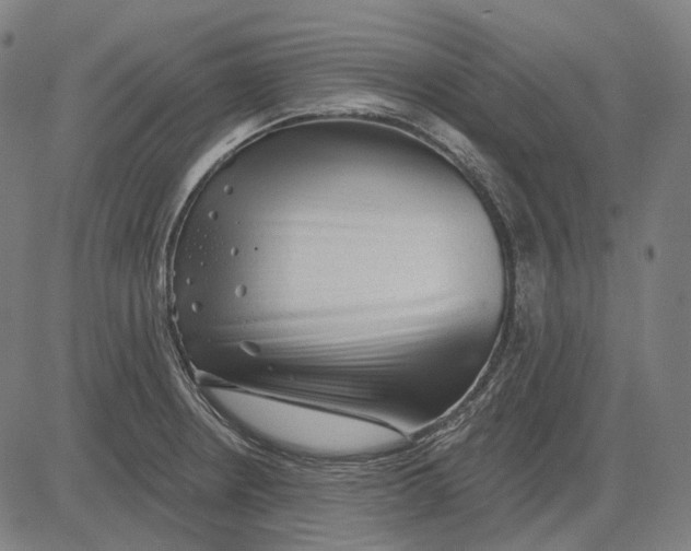 X0000081461234200702021759