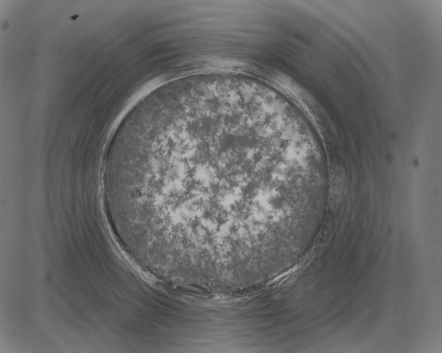 X0000081461235200702021759