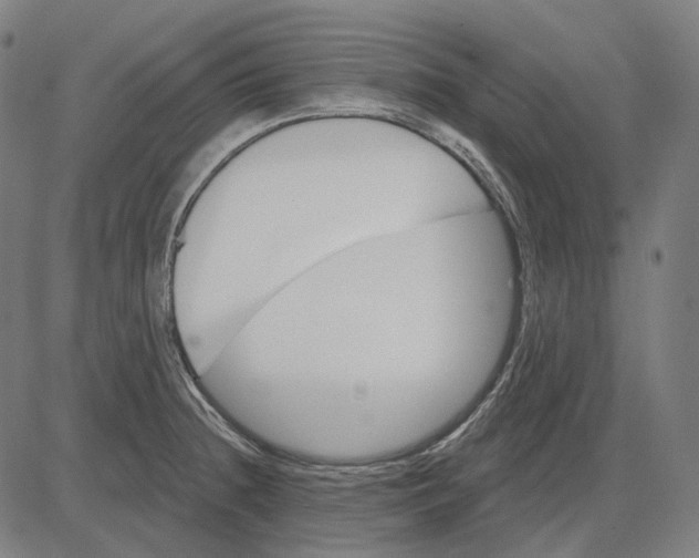 X0000081461236200702021759