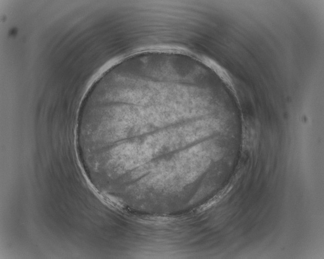 X0000081461237200702021759