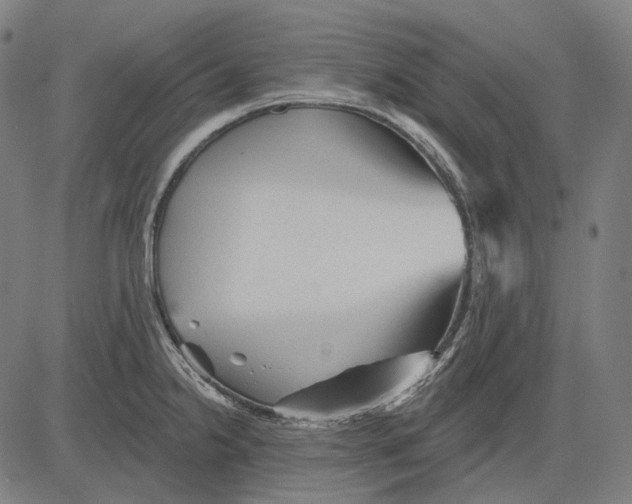 X0000081461238200702021759