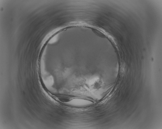 X0000081461239200702021759