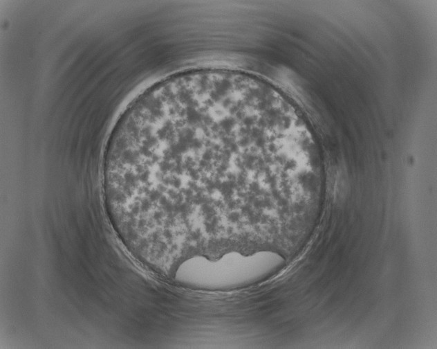 X0000081461240200702021759