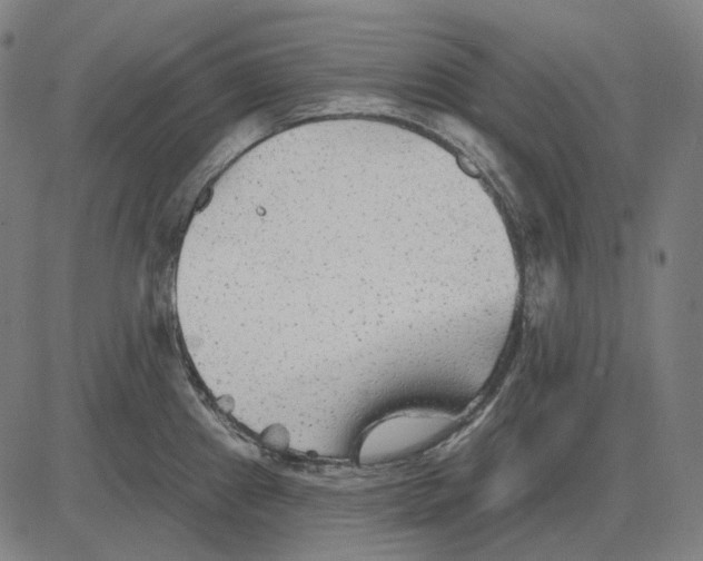 X0000081461241200702021759