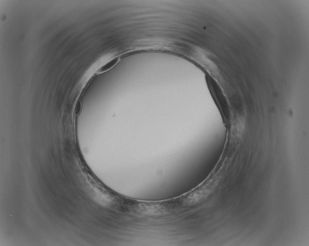 X0000081461242200702021759