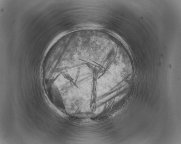 X0000081461243200702021759