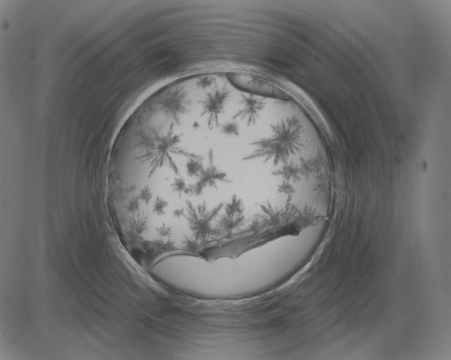 X0000081461244200702021759