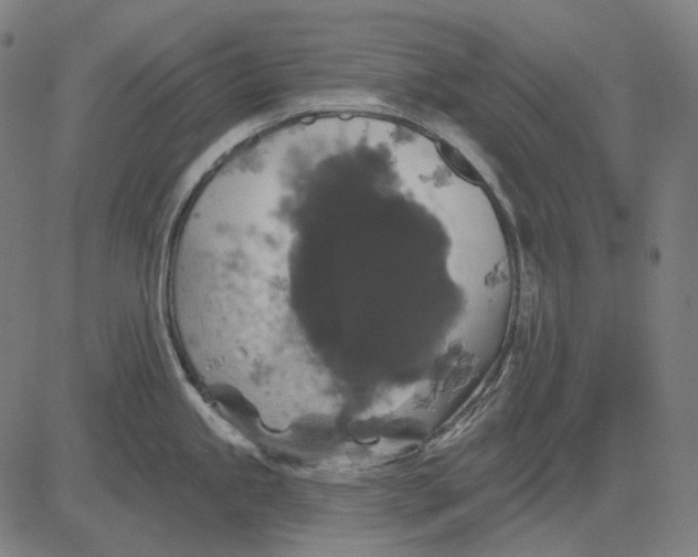 X0000081461245200702021759