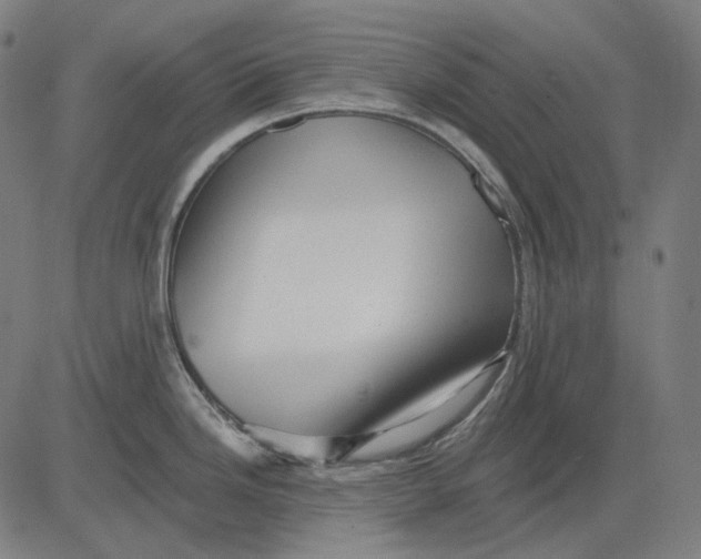 X0000081461246200702021759