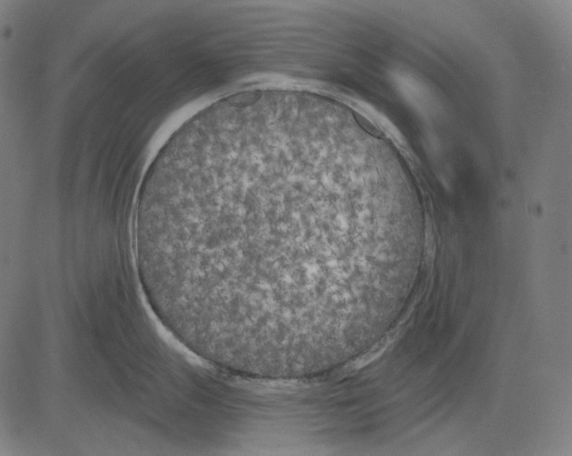 X0000081461247200702021759