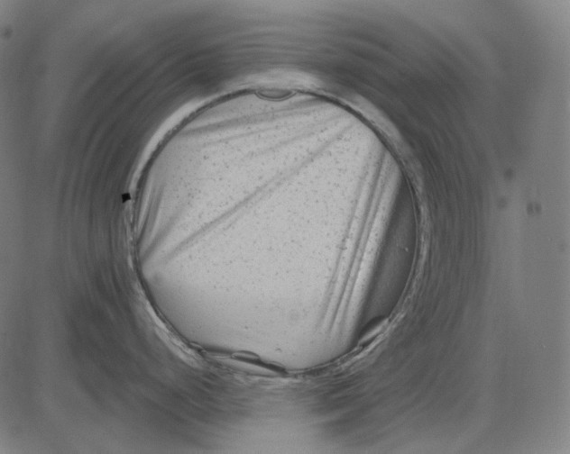 X0000081461248200702021759