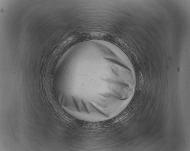 X0000081461249200702021759