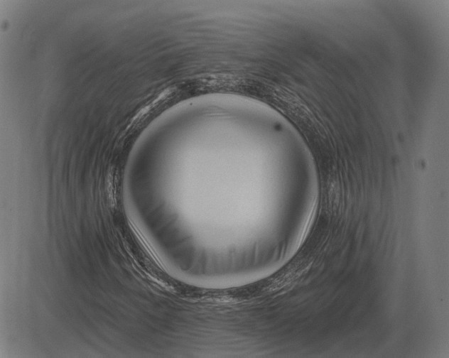 X0000081461250200702021759