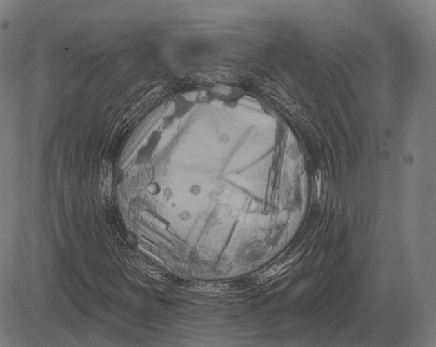 X0000081461251200702021759