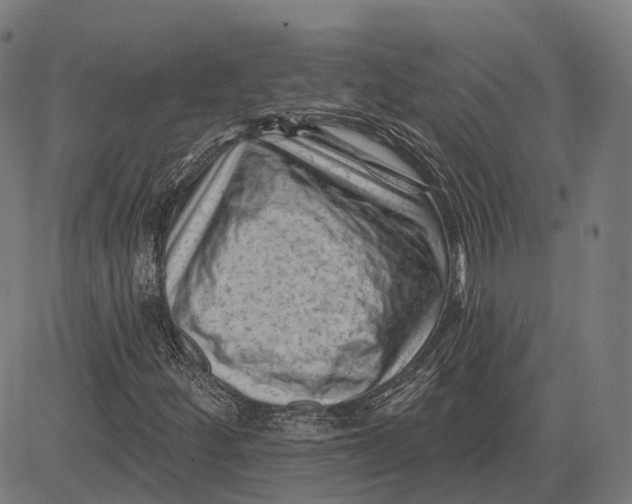 X0000081461252200702021759