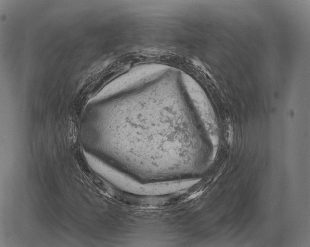 X0000081461253200702021759