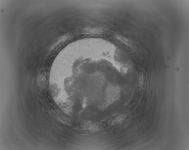 X0000081461254200702021759