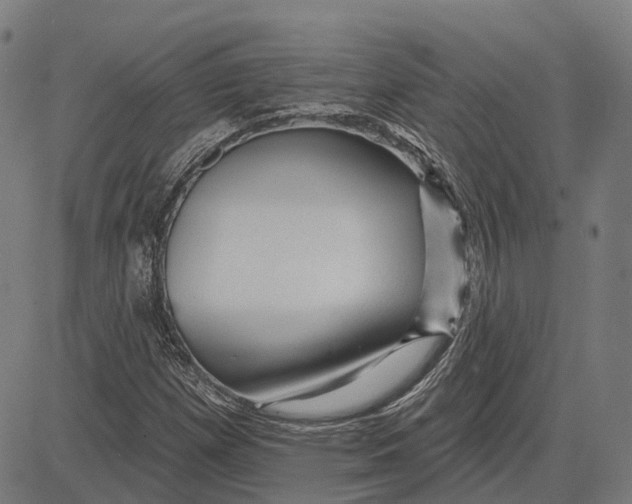 X0000081461257200702021758