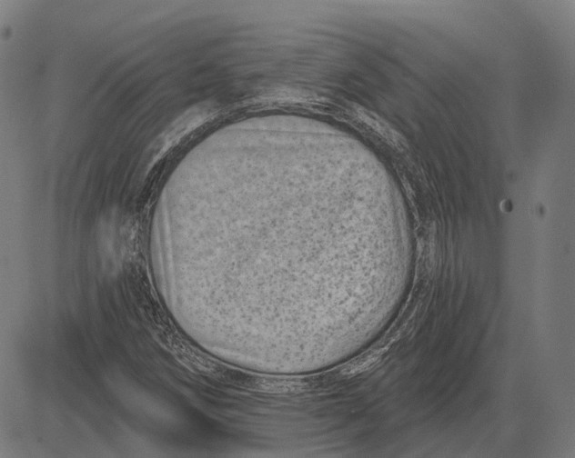 X0000081461258200702021758