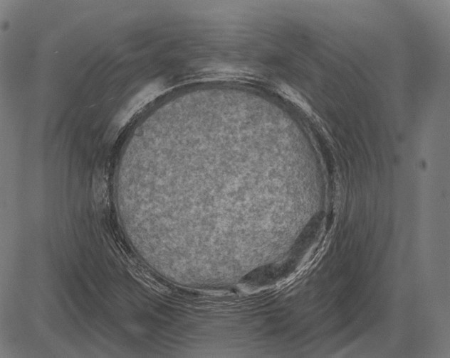 X0000081461259200702021758