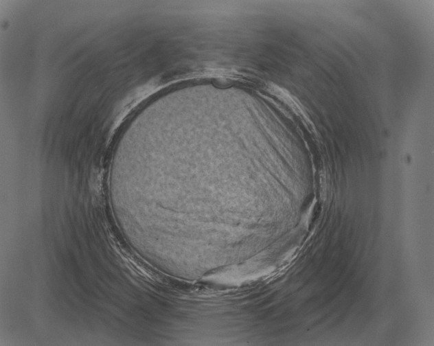 X0000081461260200702021758