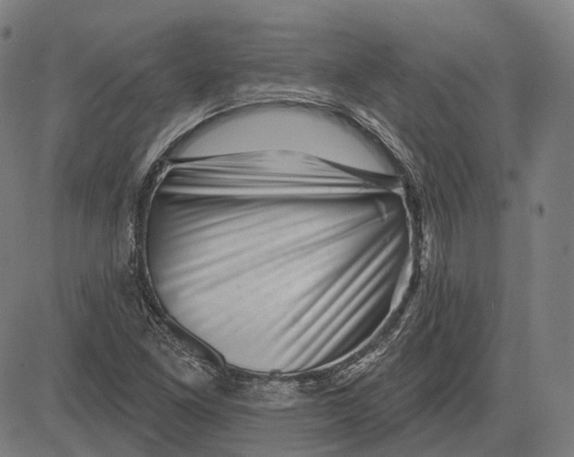 X0000081461261200702021758