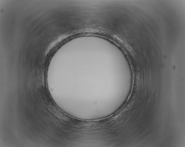 X0000081461262200702021758