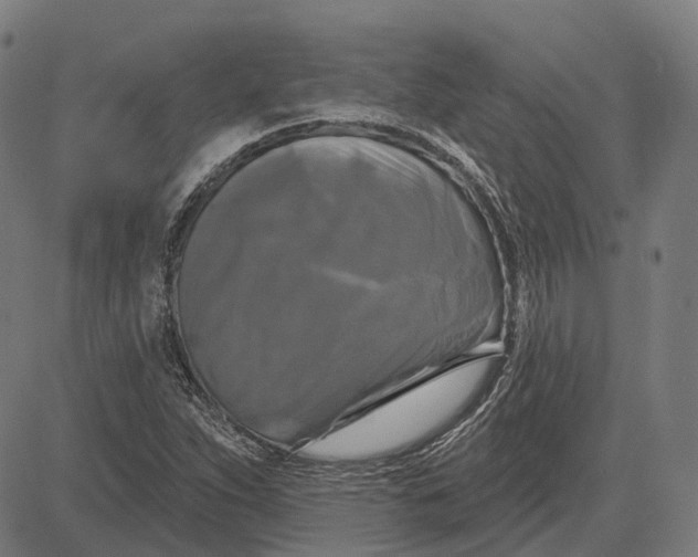 X0000081461263200702021758