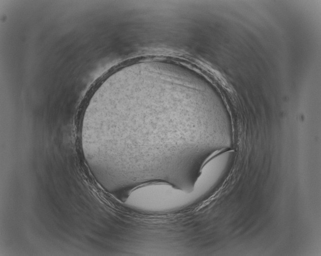 X0000081461264200702021758