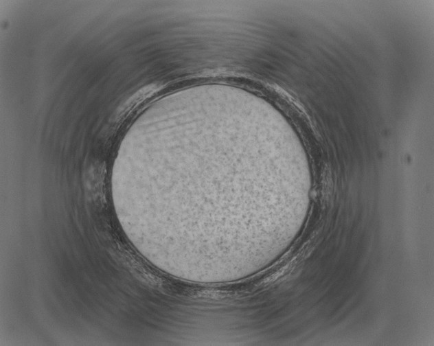 X0000081461265200702021758