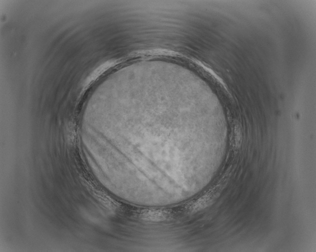 X0000081461266200702021758