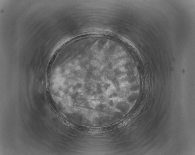 X0000081461267200702021758