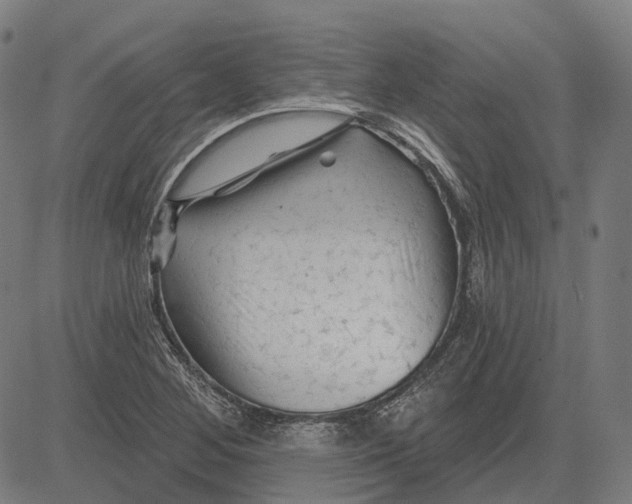 X0000081461268200702021758