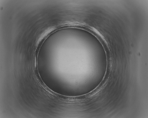 X0000081461269200702021758