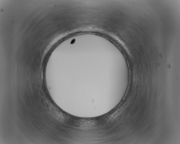 X0000081461270200702021758