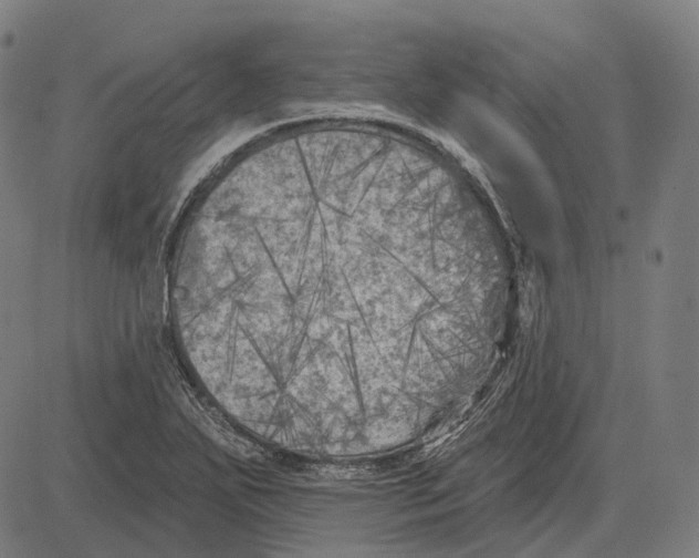 X0000081461271200702021758